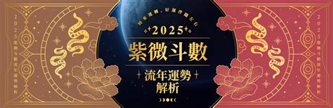 算流年|2025流年運勢 ️紫微斗數流年命盤分析